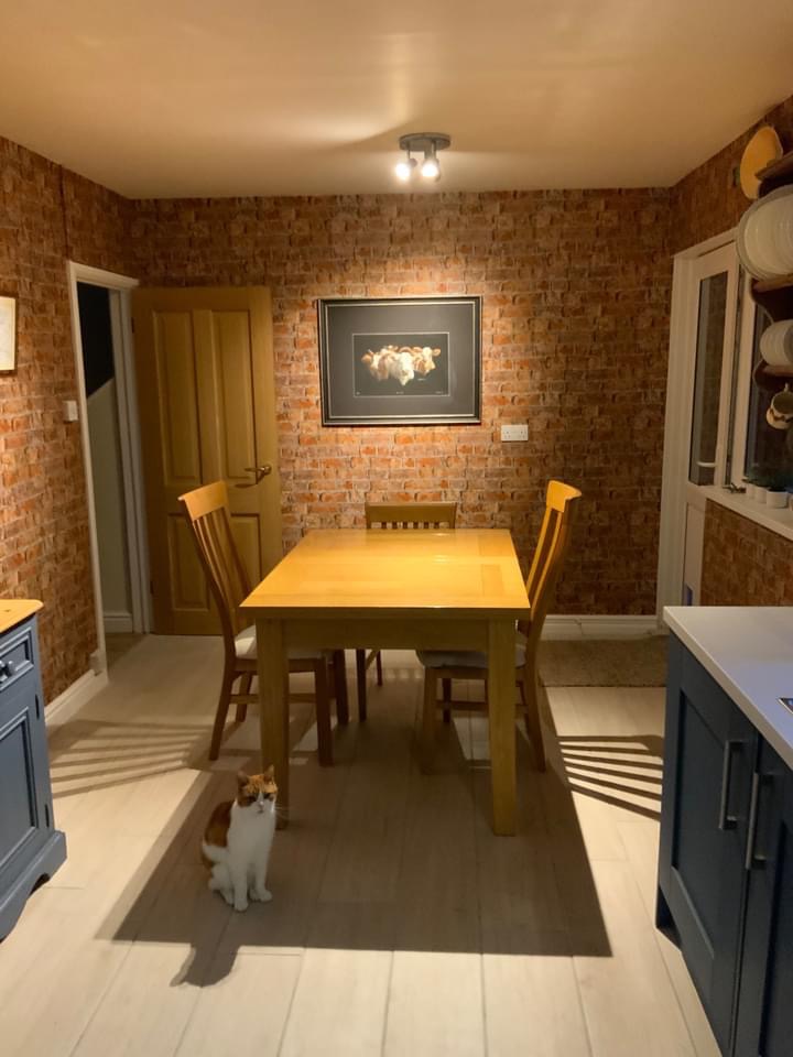 JR Painters & Decorators — Photos 9
